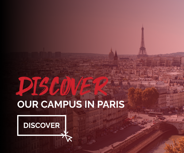 icd-paris-toulouse-discover-paris-carrousel-mobile