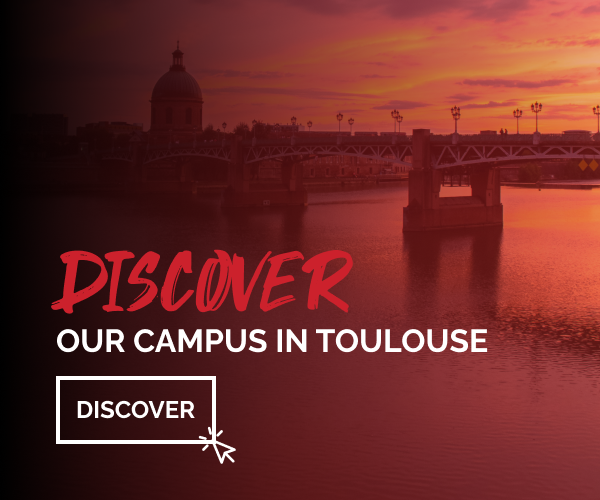 icd-paris-toulouse-discover-toulouse-carrousel-mobile