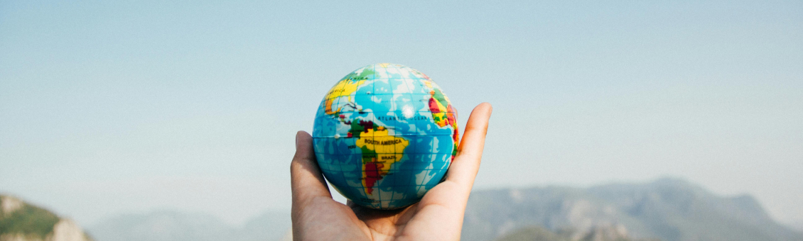  International Experience, Internships and Work-Study: Professionalization at ICD Business School